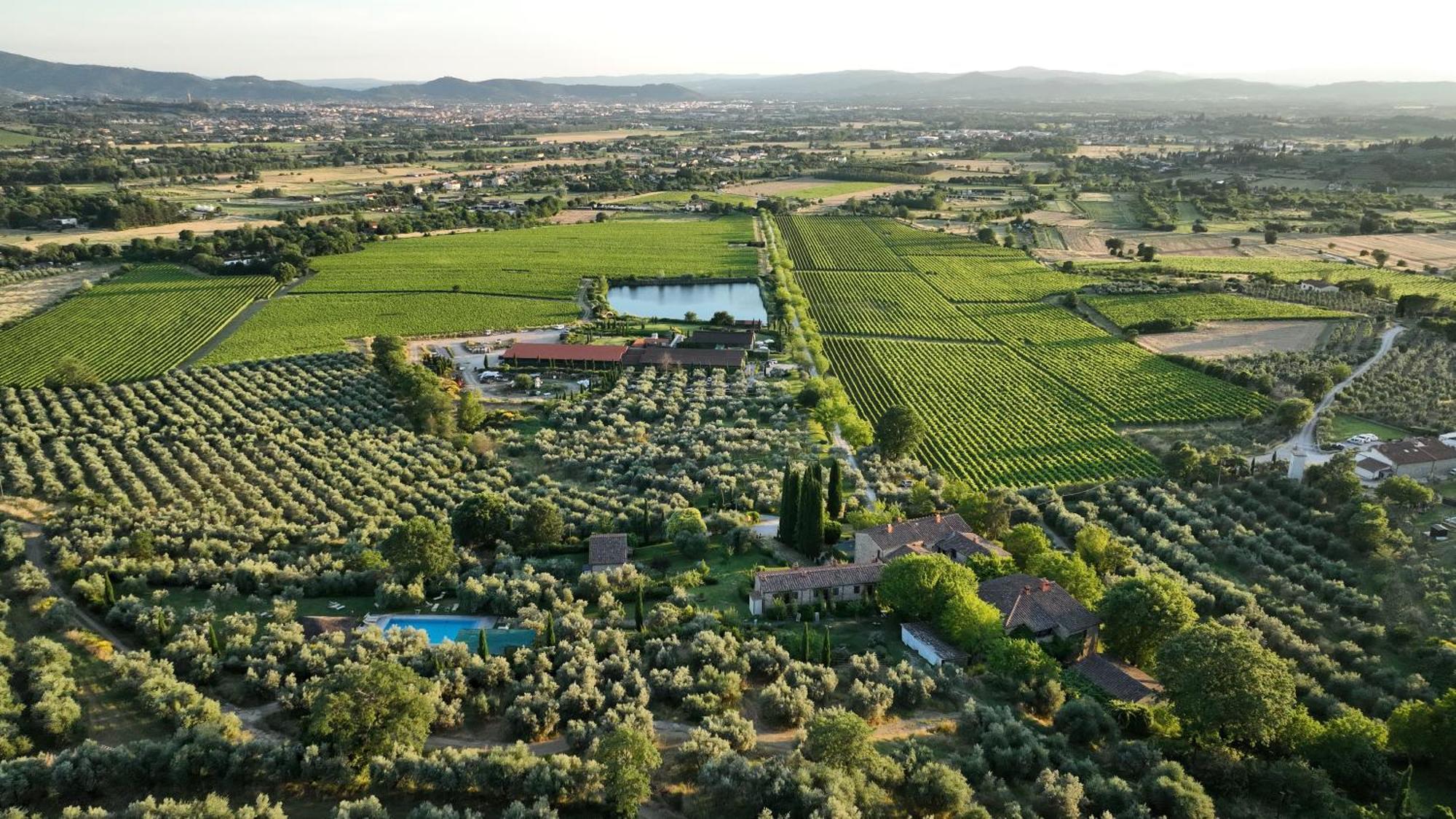 Il Palazzo - Agriturismo, Winery Arezzo Exteriér fotografie